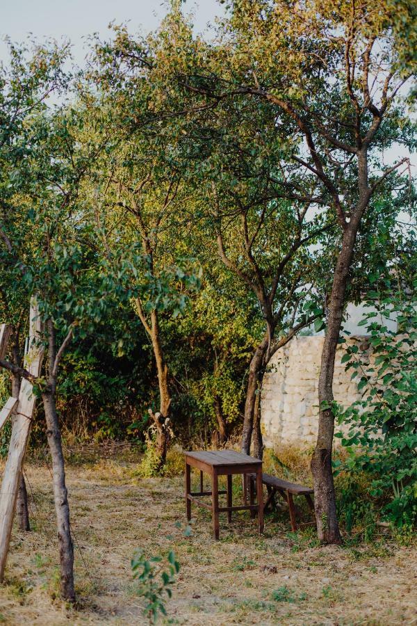 Telavi Tel Aviv Villa Luaran gambar